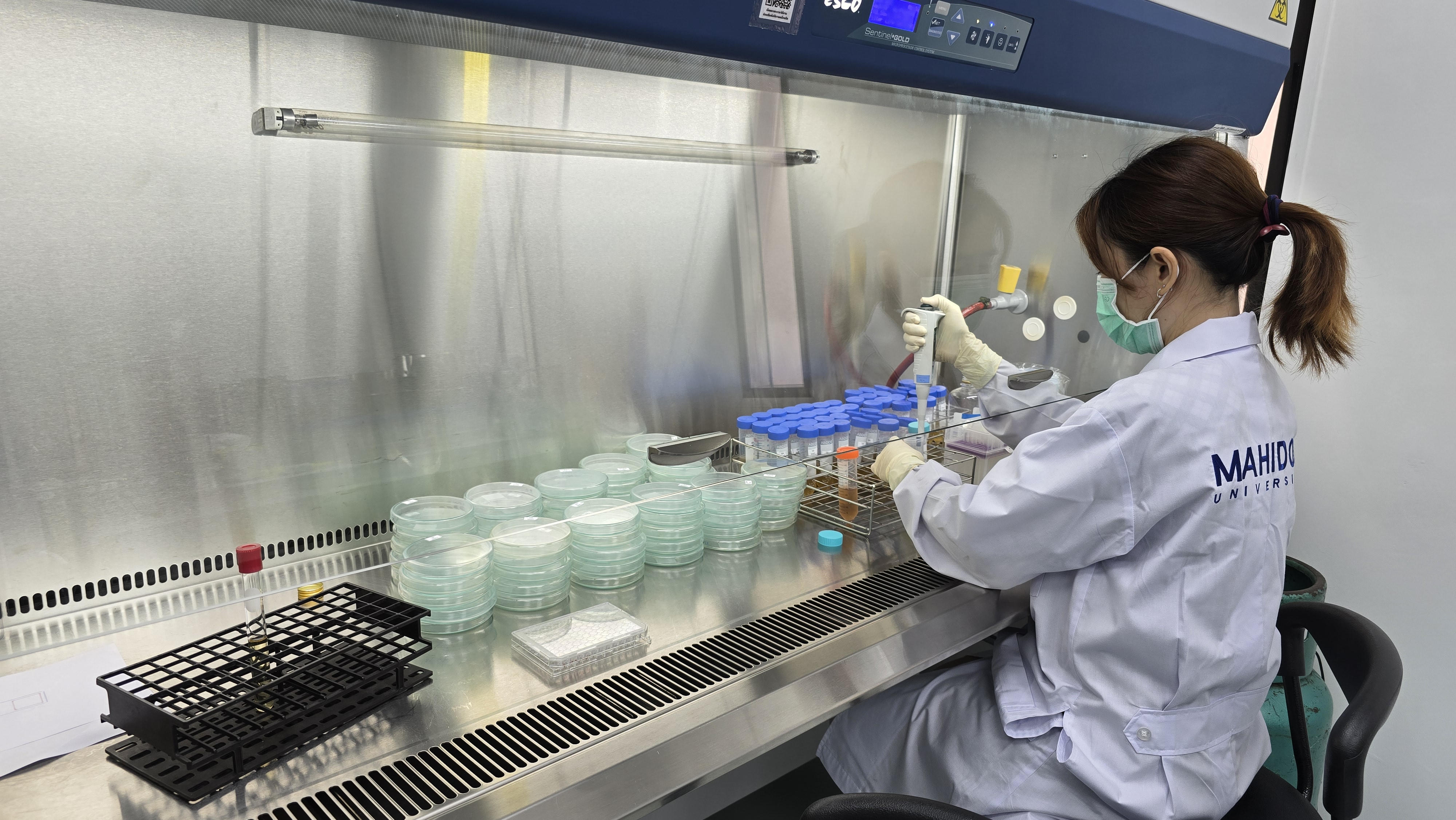 Lab Services