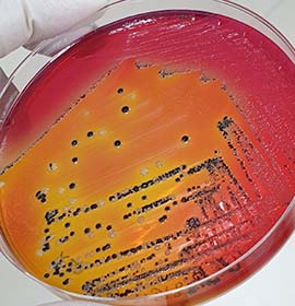 Laboratory service image 2