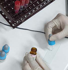 Laboratory service image 4