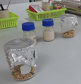 Laboratory service image 1